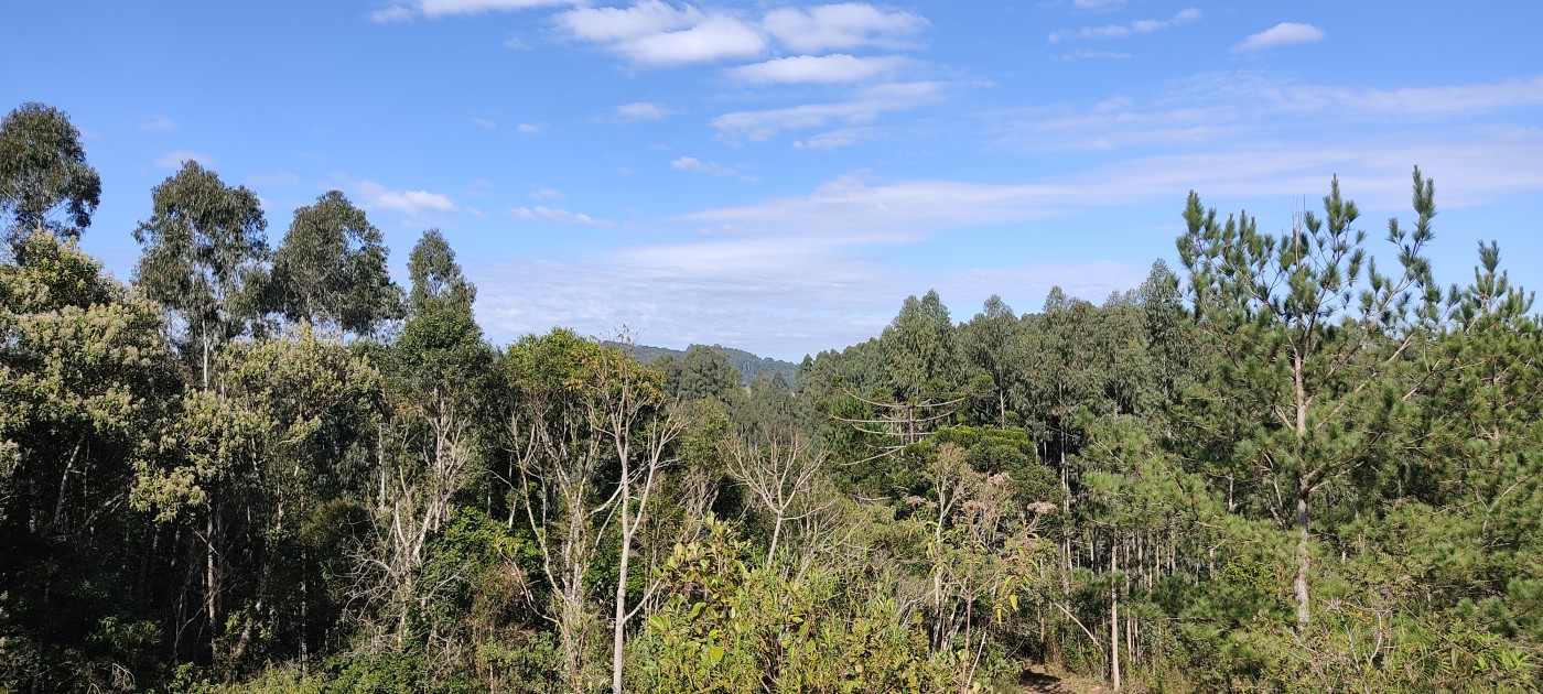 Fazenda/sítio/chácara/haras à venda  no Queimados - Campo Alegre, SC. Imóveis